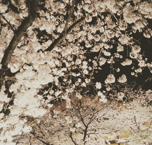 f:id:rokico:20160403191015j:image f:id:rokico:20160403191015j:image