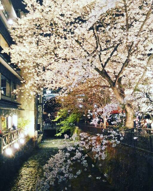 f:id:rokico:20160403191811j:image f:id:rokico:20160403191811j:image