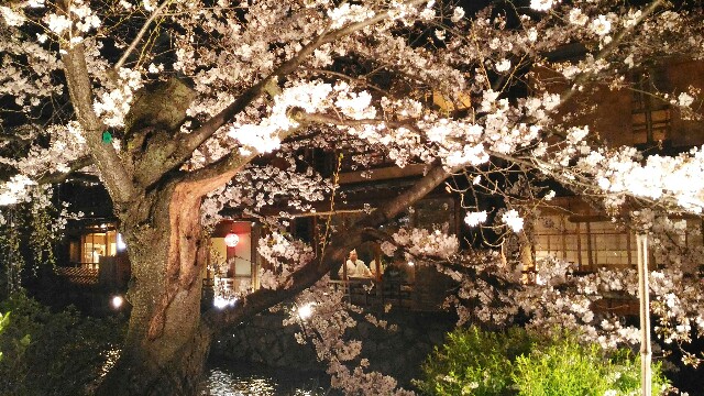 f:id:rokico:20160403192323j:image f:id:rokico:20160403192323j:image
