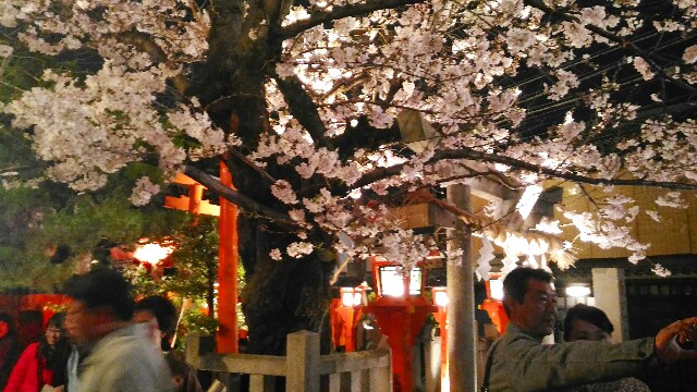 f:id:rokico:20160403192436j:image f:id:rokico:20160403192436j:image