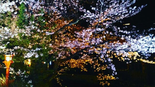f:id:rokico:20160403192636j:image f:id:rokico:20160403192636j:image