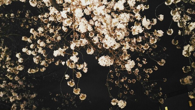 f:id:rokico:20160403193129j:image f:id:rokico:20160403193129j:image