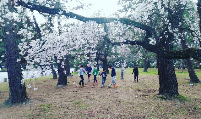 f:id:rokico:20160413184423j:image f:id:rokico:20160413184423j:image