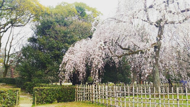 f:id:rokico:20160413184552j:image f:id:rokico:20160413184552j:image