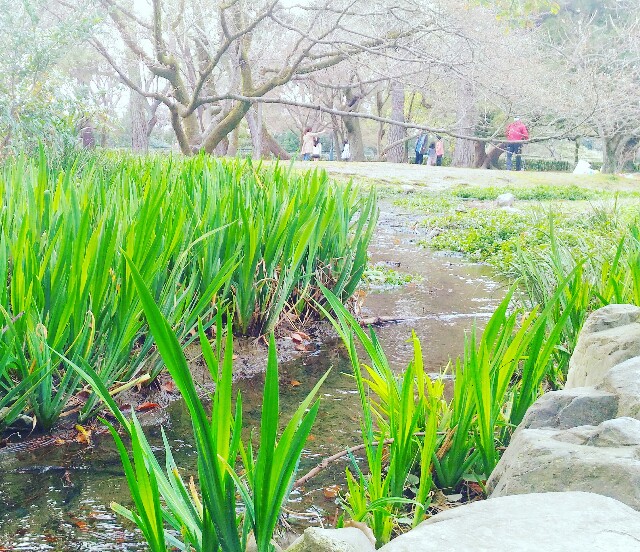 f:id:rokico:20160413184727j:image f:id:rokico:20160413184727j:image