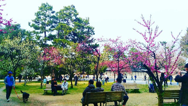 f:id:rokico:20160413185110j:image f:id:rokico:20160413185110j:image