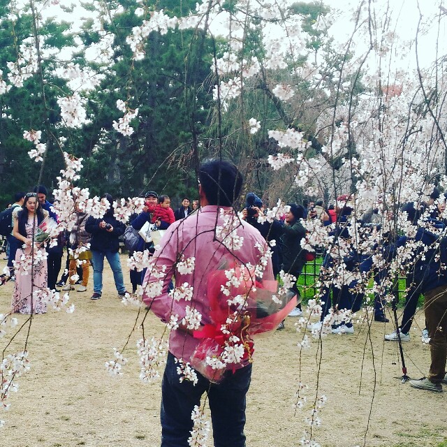 f:id:rokico:20160413190141j:image f:id:rokico:20160413190141j:image