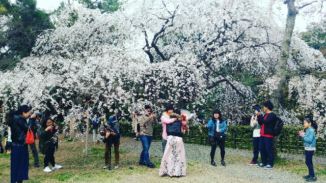 f:id:rokico:20160413190324j:image f:id:rokico:20160413190324j:image