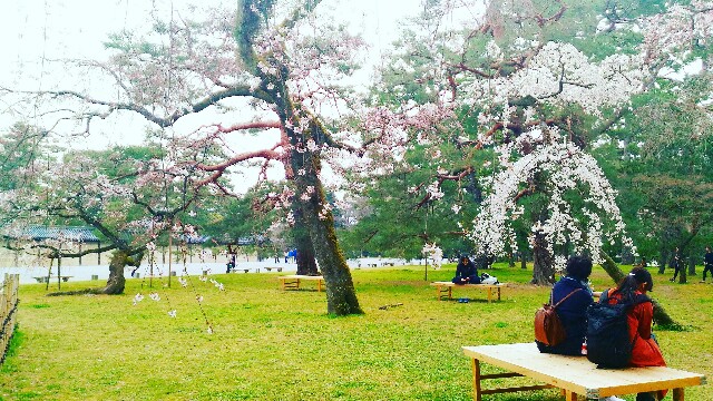 f:id:rokico:20160413190841j:image f:id:rokico:20160413190841j:image