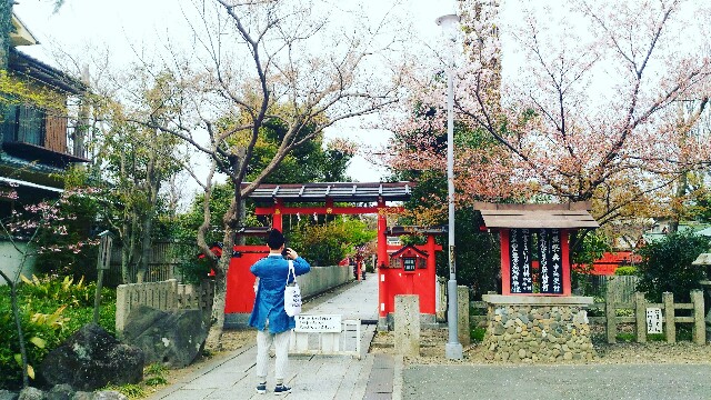 f:id:rokico:20160415080923j:image f:id:rokico:20160415080923j:image