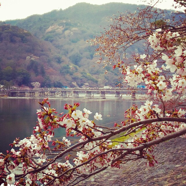 f:id:rokico:20160415081354j:image f:id:rokico:20160415081354j:image