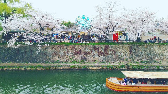 f:id:rokico:20160415173716j:image f:id:rokico:20160415173716j:image