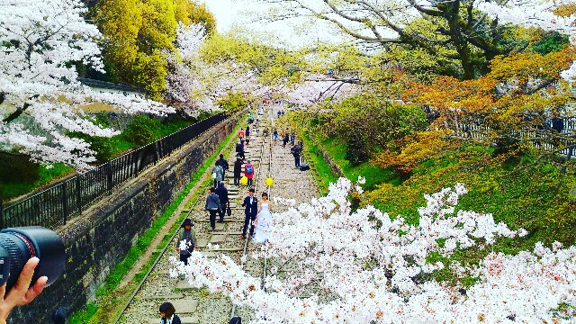 f:id:rokico:20160415185728j:image f:id:rokico:20160415185728j:image