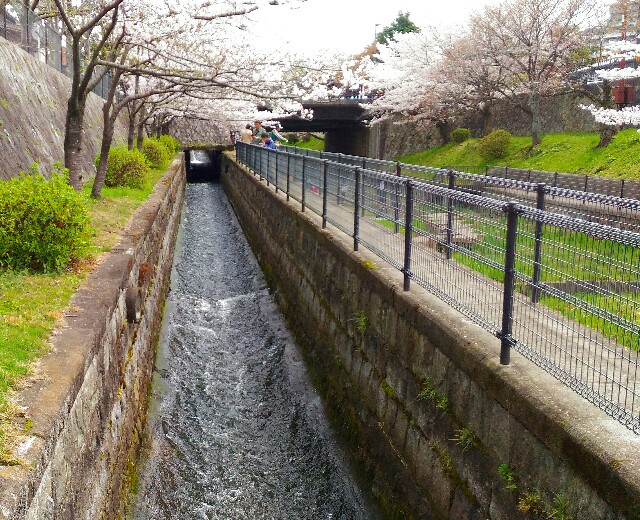f:id:rokico:20160415190157j:image f:id:rokico:20160415190157j:image