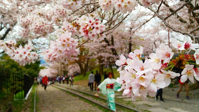 f:id:rokico:20160415191221j:image f:id:rokico:20160415191221j:image