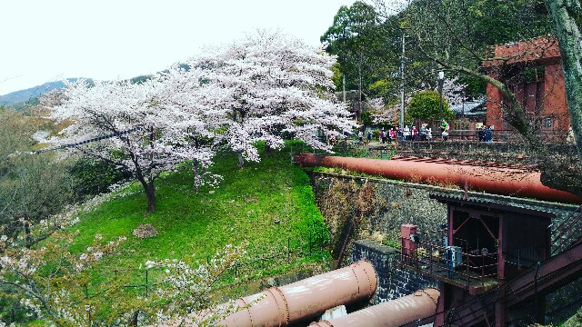f:id:rokico:20160415191551j:image f:id:rokico:20160415191551j:image