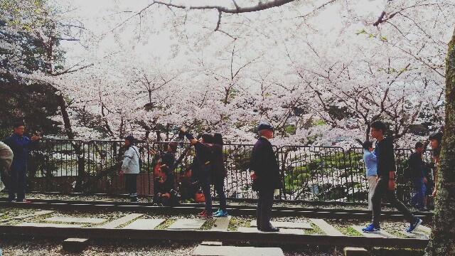 f:id:rokico:20160415192030j:image f:id:rokico:20160415192030j:image