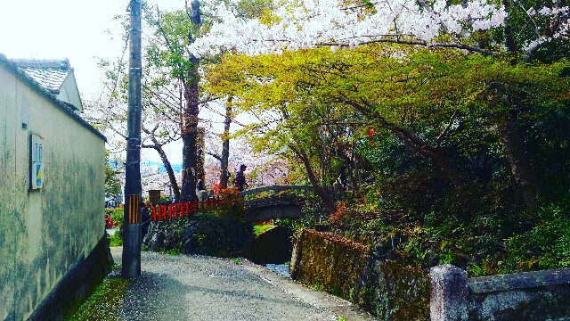 f:id:rokico:20160418185016j:image f:id:rokico:20160418185016j:image