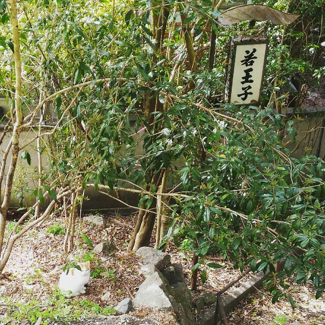 f:id:rokico:20160418185213j:image f:id:rokico:20160418185213j:image