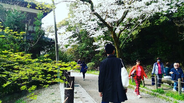 f:id:rokico:20160418185857j:image f:id:rokico:20160418185857j:image