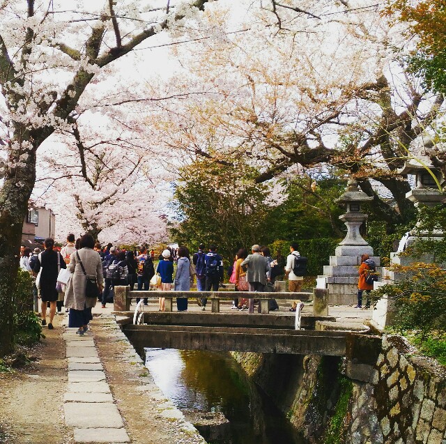 f:id:rokico:20160418185920j:image f:id:rokico:20160418185920j:image