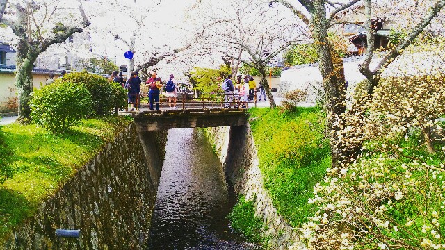 f:id:rokico:20160418185959j:image f:id:rokico:20160418185959j:image