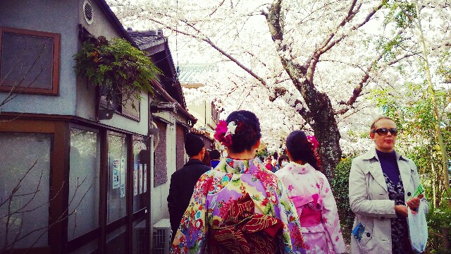 f:id:rokico:20160418190136j:image f:id:rokico:20160418190136j:image