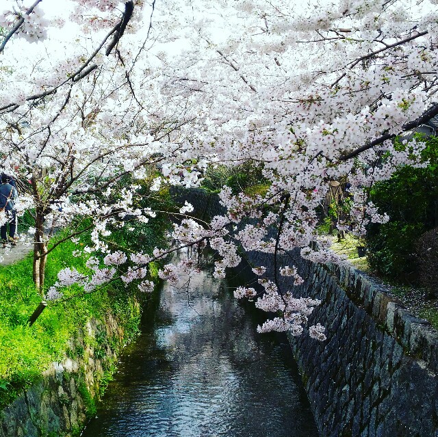 f:id:rokico:20160418190223j:image f:id:rokico:20160418190223j:image