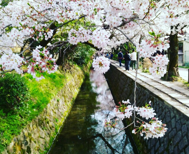 f:id:rokico:20160418190300j:image f:id:rokico:20160418190300j:image