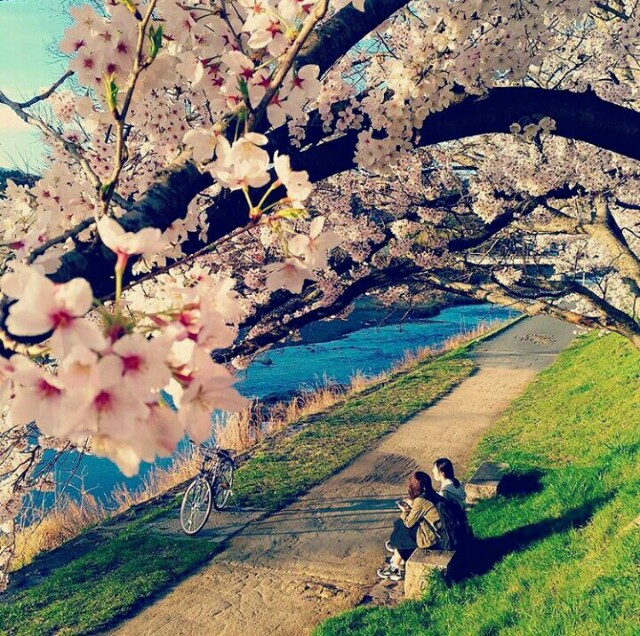 f:id:rokico:20160418190949j:image f:id:rokico:20160418190949j:image