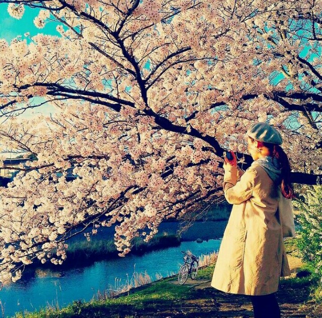 f:id:rokico:20160418191041j:image f:id:rokico:20160418191041j:image