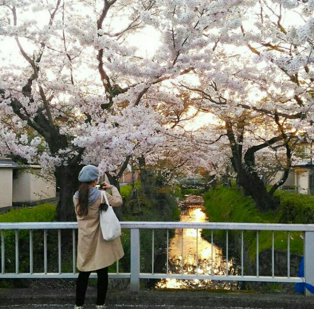 f:id:rokico:20160419001845j:image f:id:rokico:20160419001845j:image