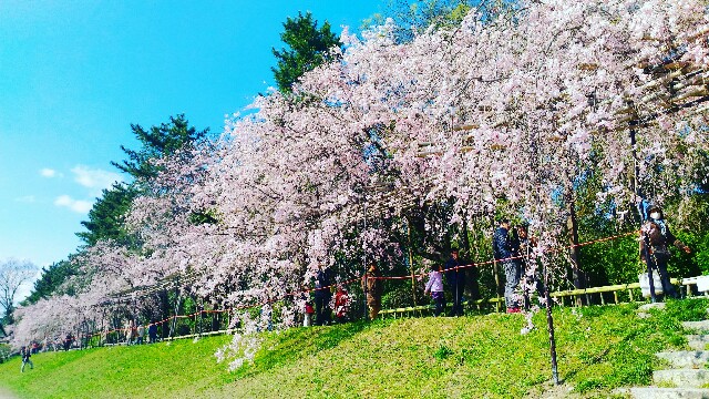 f:id:rokico:20160420123643j:image f:id:rokico:20160420123643j:image