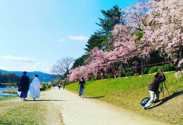 f:id:rokico:20160420123933j:image f:id:rokico:20160420123933j:image