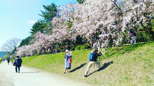 f:id:rokico:20160420124020j:image f:id:rokico:20160420124020j:image