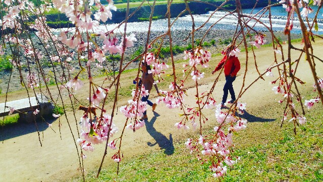 f:id:rokico:20160420124608j:image f:id:rokico:20160420124608j:image