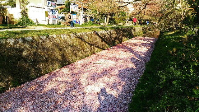 f:id:rokico:20160420124927j:image f:id:rokico:20160420124927j:image
