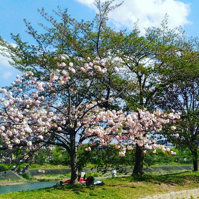 f:id:rokico:20160420210735j:image f:id:rokico:20160420210735j:image