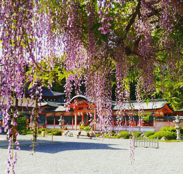 f:id:rokico:20160427172949j:image f:id:rokico:20160427172949j:image