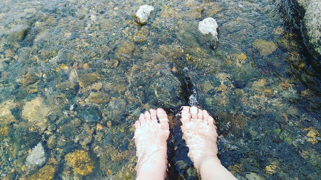 f:id:rokico:20160706083100j:image f:id:rokico:20160706083100j:image
