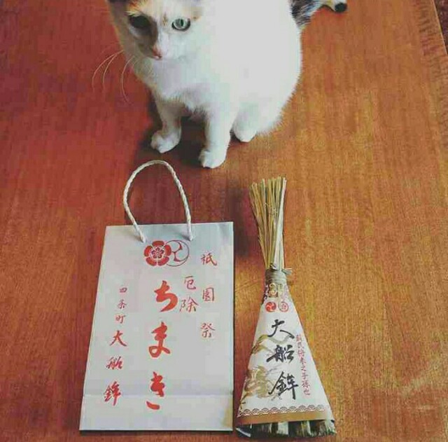 f:id:rokico:20160726082518j:image f:id:rokico:20160726082518j:image