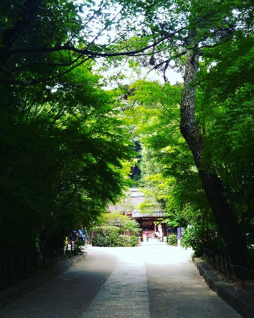 f:id:rokico:20160726184657j:image f:id:rokico:20160726184657j:image