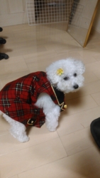f:id:rokkoyuko:20130720214459j:image f:id:rokkoyuko:20130720214459j:image