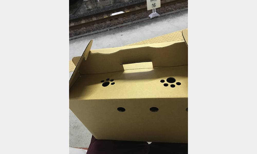 f:id:rokuzeudon:20151021174807j:plain