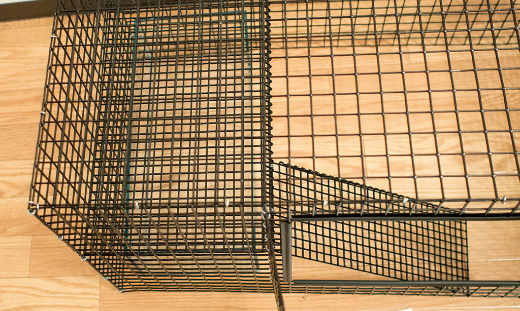 f:id:rokuzeudon:20151022070207j:plain