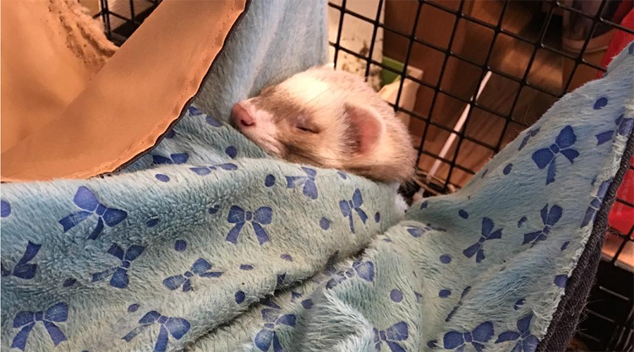 f:id:rokuzeudon:20151225073526j:plain