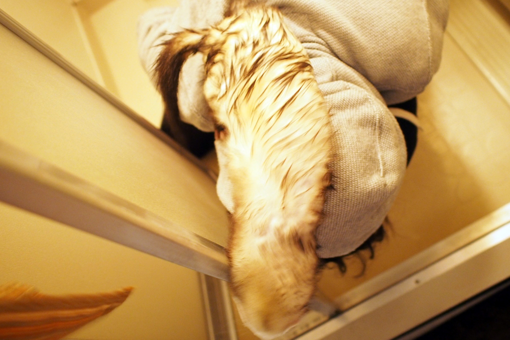 f:id:rokuzeudon:20160121114726j:plain