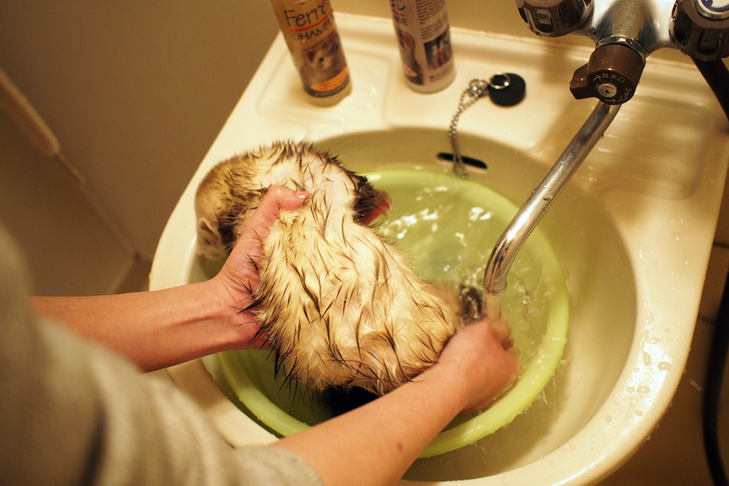 f:id:rokuzeudon:20160121114737j:plain