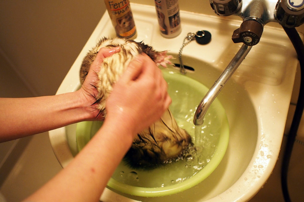 f:id:rokuzeudon:20160121114758j:plain