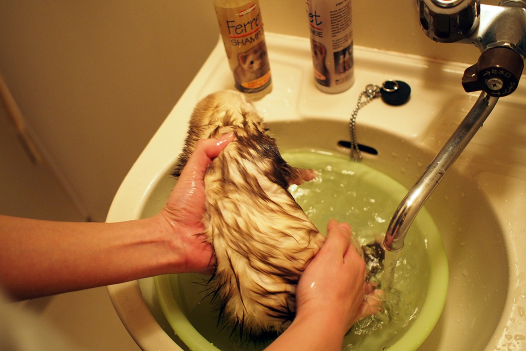 f:id:rokuzeudon:20160121114801j:plain